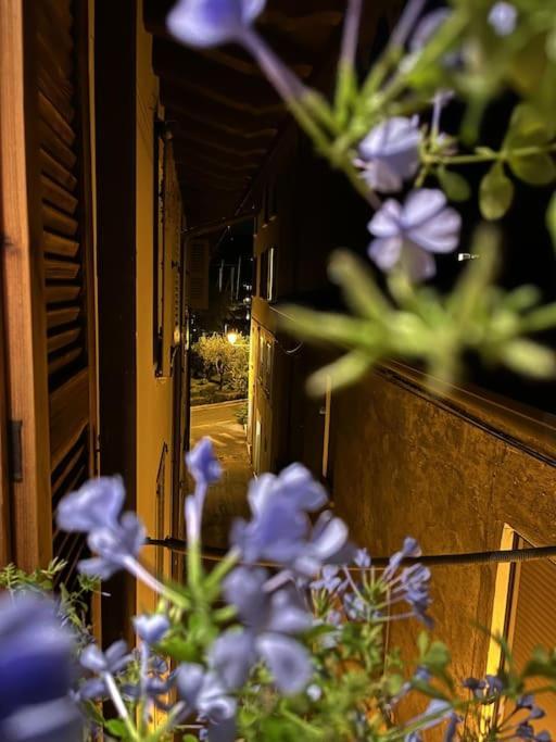 La Piccola Casa Al Lago - Intera Casa Con 3 Camere E 2 Box Salo Bagian luar foto