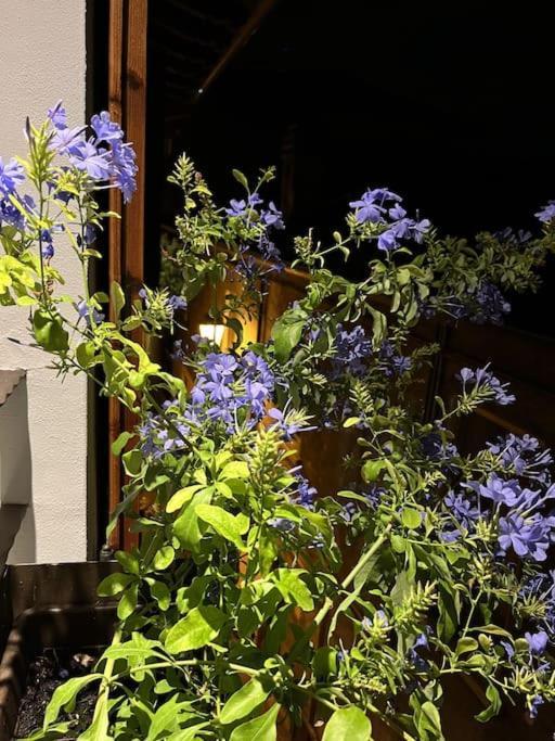 La Piccola Casa Al Lago - Intera Casa Con 3 Camere E 2 Box Salo Bagian luar foto